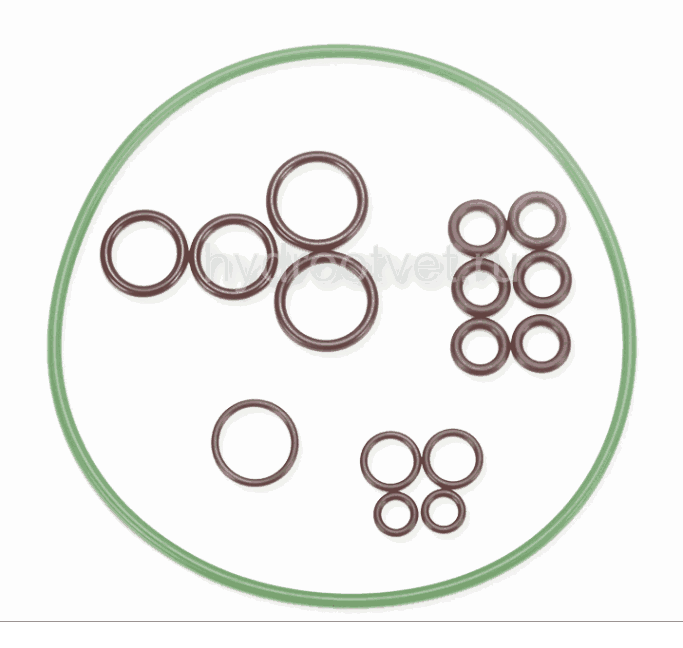 A6VM107 OIL SEAL - Масляное уплотнение (уплотнение вала)