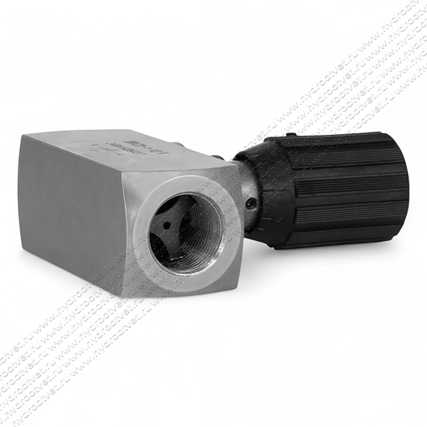 DRV20-1-10/V - Дроссель трубного монтажа c рукояткой, G1, обратный клапан - есть