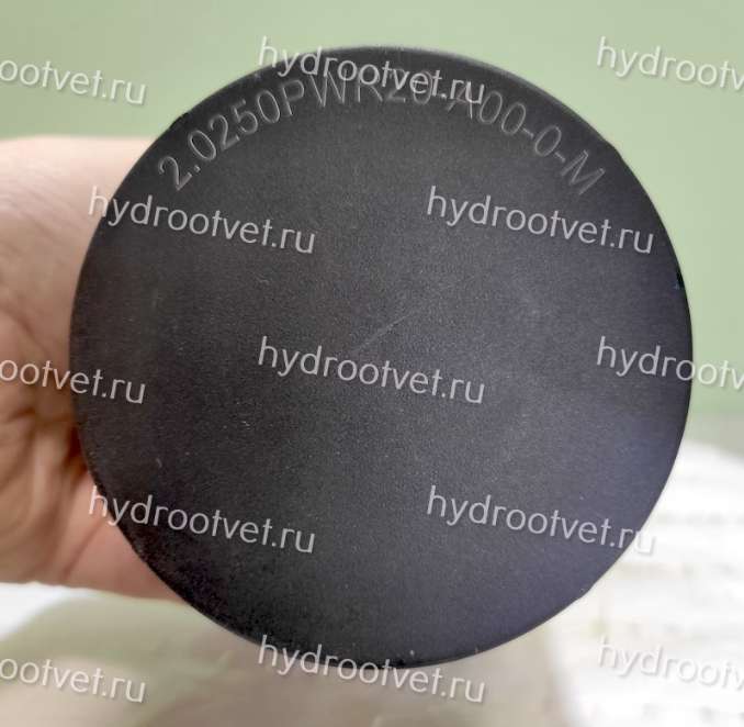 2.0250H6XL-A00-0-M - Фильтроэлемент для фильтра Рексрот