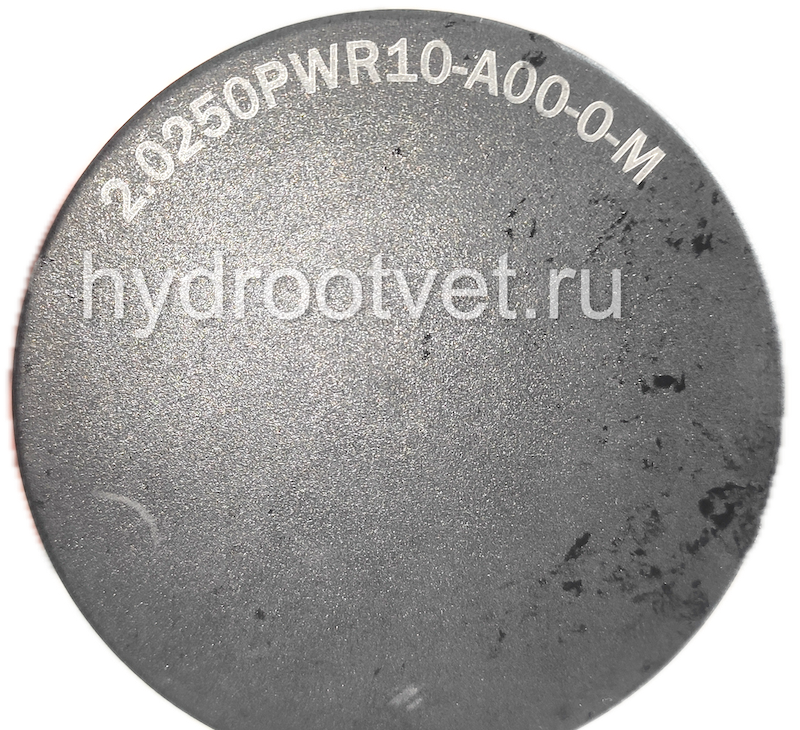 2.0250PWR10-A00-0-M - Фильтроэлемент для фильтра Рексрот
