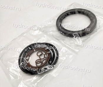 A6VM107 SEAL KIT - Комплект уплотнений (ремкомплект) для гидромотора Rexroth A6VM107 /63